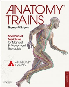 anatomy_trains