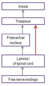 Fig2