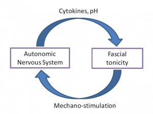 Fig4