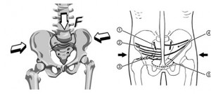 fig1